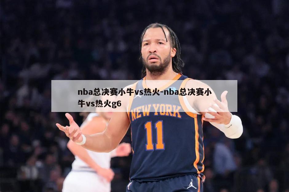 nba总决赛小牛vs热火-nba总决赛小牛vs热火g6